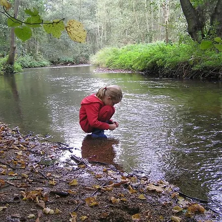 Groenewoud Vrijdag Tot Maandag En Maandag Tot Vrijdag * Swalmen