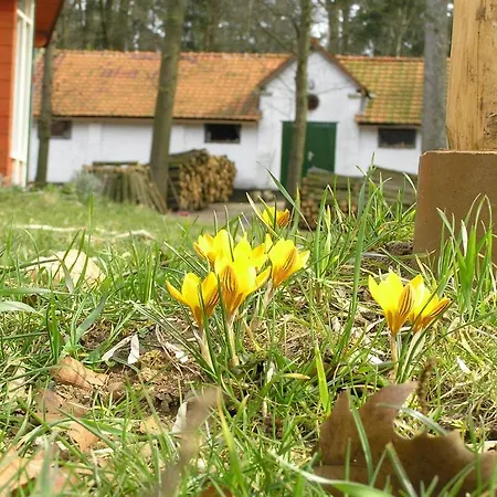 Groenewoud Vrijdag Tot Maandag En Maandag Tot Vrijdag Lägenhet *