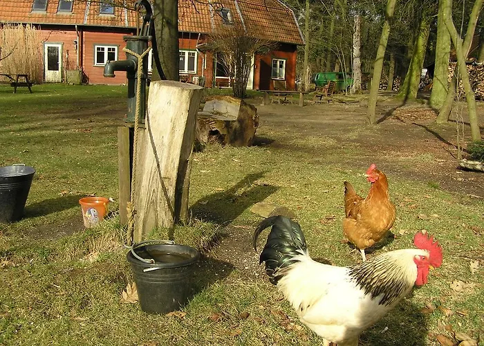 Groenewoud Vrijdag Tot Maandag En Maandag Tot Vrijdag Lägenhet