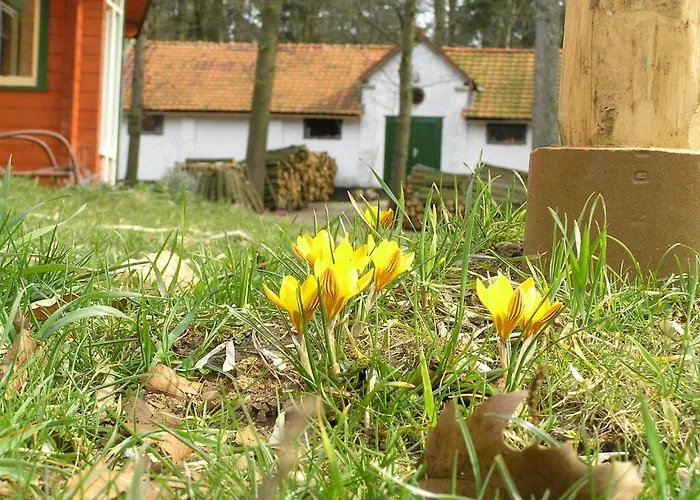 Groenewoud Vrijdag Tot Maandag En Maandag Tot Vrijdag Lägenhet *