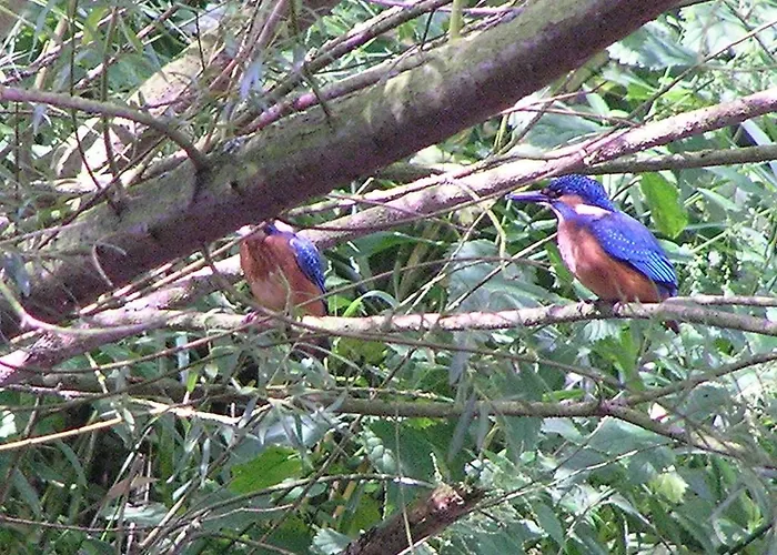 Groenewoud Vrijdag Tot Maandag En Maandag Tot Vrijdag Lägenhet