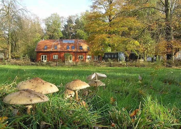 Lägenhet Groenewoud Vrijdag Tot Maandag En Maandag Tot Vrijdag Swalmen