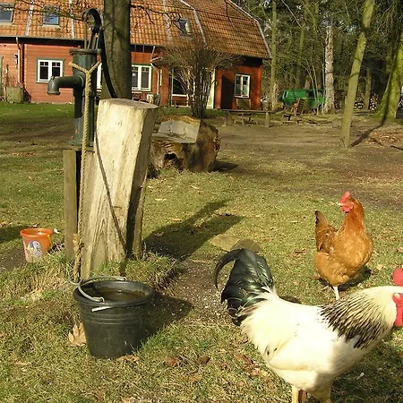 Groenewoud Vrijdag Tot Maandag En Maandag Tot Vrijdag Апартаменты