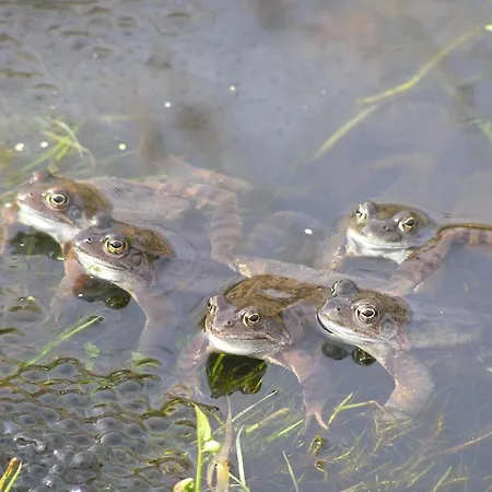 Groenewoud Vrijdag Tot Maandag En Maandag Tot Vrijdag * Swalmen