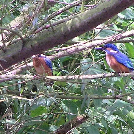 Groenewoud Vrijdag Tot Maandag En Maandag Tot Vrijdag Апартаменты