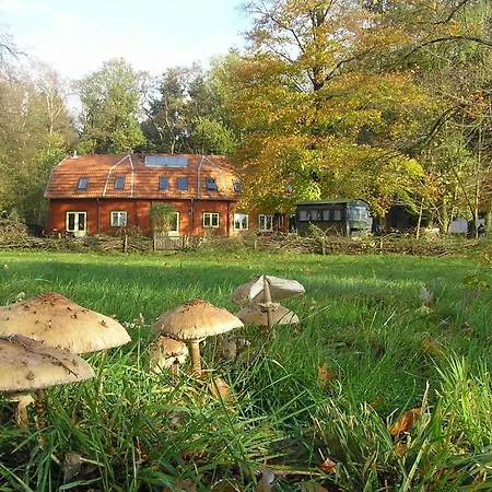 Апартаменты Groenewoud Vrijdag Tot Maandag En Maandag Tot Vrijdag Swalmen