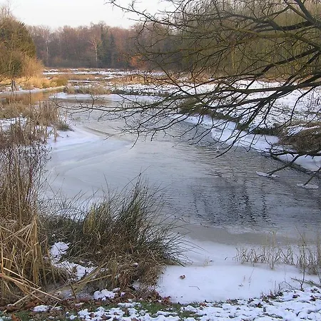 Groenewoud Vrijdag Tot Maandag En Maandag Tot Vrijdag Апартаменты *