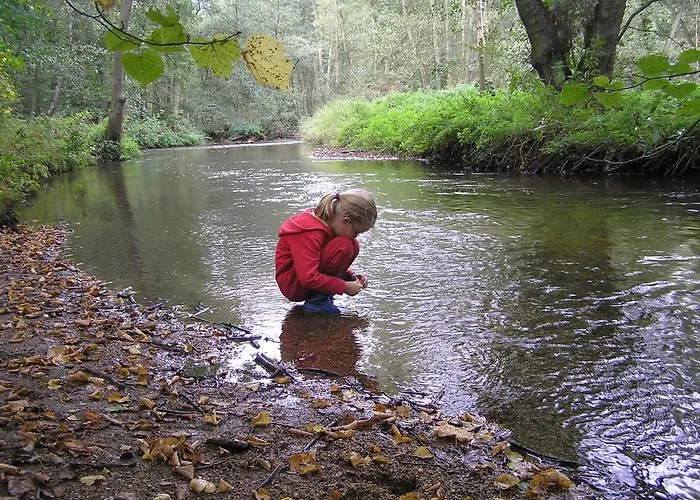 Groenewoud Vrijdag Tot Maandag En Maandag Tot Vrijdag * Swalmen