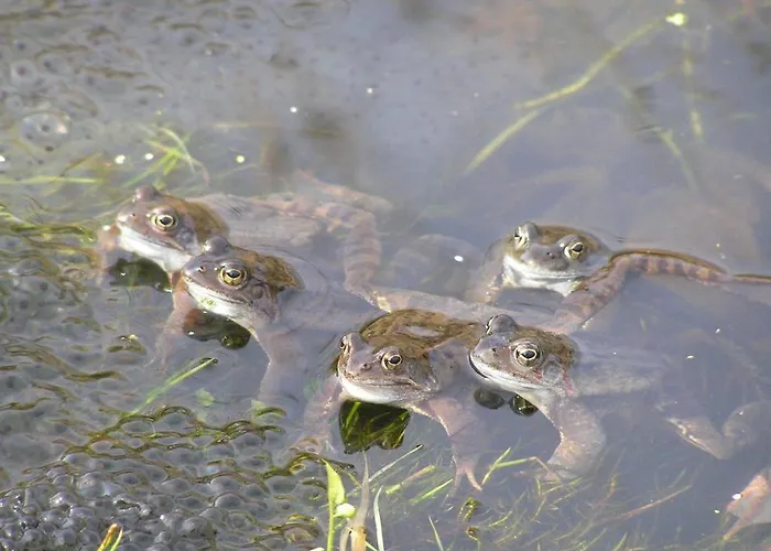 Groenewoud Vrijdag Tot Maandag En Maandag Tot Vrijdag * Swalmen