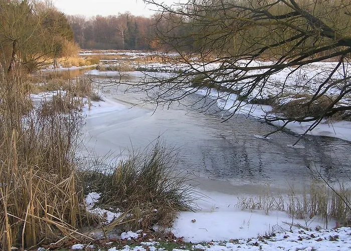 Groenewoud Vrijdag Tot Maandag En Maandag Tot Vrijdag Apartamento *